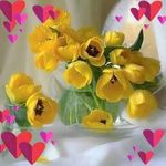 Hilary Ayers Ayers - @mgenta75 - Instagram