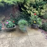 Hilary Bateman - @hilary_bat_43 - Instagram