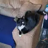 hilarybooth4 - @zatbug7 - TikTok