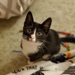 Hilary Boyce - @catharbororegon - Instagram