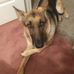 Hilary Kramer - Facebook