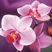 Hilary Crouch - Facebook