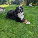 Hilary Crouch - @hilary_crouch - Instagram