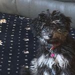 Hilary Dickson - @hilary.dickson.16 - Instagram
