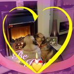 Hilary Griffiths - @hilary.griffiths.51 - Instagram