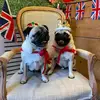 Hilary Greb - @hilary.greb - TikTok