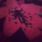 Hilary Johns - @the_flower_girlyy - Instagram