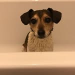 Hilary Johnson - @hilary_johnson65 - Instagram