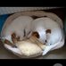 Hilary Lee - Facebook
