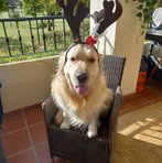 Hilary Lyons - Facebook