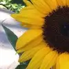 Hilary Mathias521 - @hilarymathias - TikTok