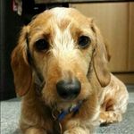 Hilary Porter - @hilary.porter63 - Instagram