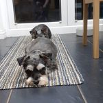 Hilary Power - @hilarypower - Instagram