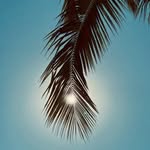 Hilary de Roy - @theroyalnativesale - Instagram