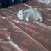 Hilary Silver - Facebook
