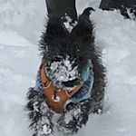 Hilary Walters - @hilaryannwalters - Instagram