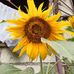 Hilda Balbin - Facebook