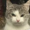 HILDA BACA QUISPE - @hilda.baca.quispe - TikTok