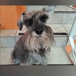 Hilda Baca Razo - @bacarazo - Instagram