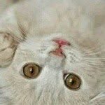 azusena - @hilda_blanco_ - Instagram