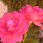 Hilda Blanco - Facebook