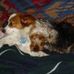 Hilde Blum - Facebook