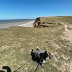 Hilda Boyle - @kirstenmulliy_ns - Instagram