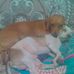 Hilda Cadena - Facebook