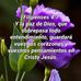 Hilda Cadena - Facebook