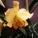 Hilda Cadena de Rodriguez - @cadenaderodriguez - Instagram
