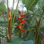 Hilda Cadena H - @hilca64 - Instagram