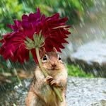 Hilda Campbell - @hilda.campbell.180 - Instagram
