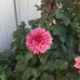 Hilde Fraser - Facebook
