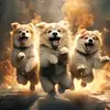 hildaheinz - @hildaheinz - TikTok