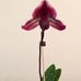 Hilda Kessler - Facebook