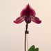 Hilda Kessler - Facebook