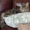 Hilda Knight - @hilda.knight - TikTok