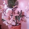 Hilda Knight - @hilda.knight2 - TikTok