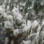 Hilda Kramer - @hilda.kramer.1 - Instagram