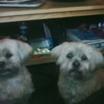 Hilda Lambert - @hilda.lambert.3 - Instagram