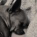 Hilde Lambert - Facebook