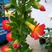 Hilda Limachi - Facebook