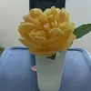 Hilda Lima - @hilda.lima366 - TikTok