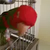 Hilda Luna - @hilda.luna71 - TikTok