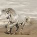 Hilda Magee - Facebook