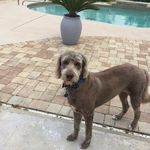 Hilda Maloney - @maloney_hilda - Instagram