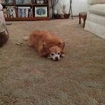 Hilda Maloney - @maloneyhilda - Instagram