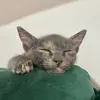 Hilda M - @hildamc - TikTok