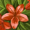 hildamcgee4 - @hilda.mcgee4 - TikTok