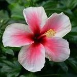 @roehildamcintosh77 - Instagram